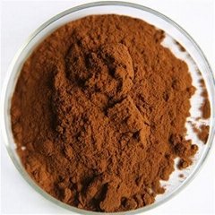 Citrus aurantium Extract Powder