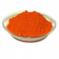 Capsicum annuum Extract Powder