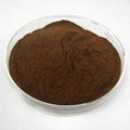 Tribulus terrestris Extract Powder 2