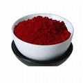 Bilberry Extract 1