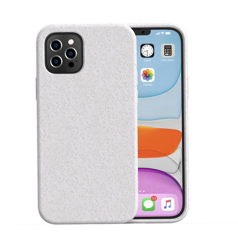 100% biodegradable case for iPhone 12 2