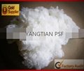 POLYESTER STAPLE FIBER  HOLLOW CONJUGATE SILICONIZED PSF 2