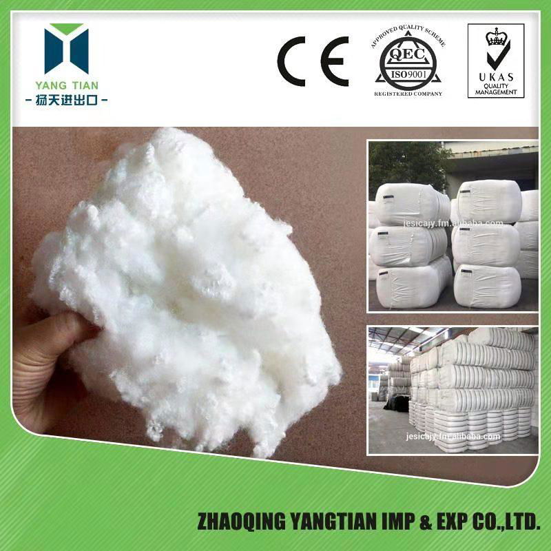 POLYESTER STAPLE FIBER  HOLLOW CONJUGATE SILICONIZED PSF