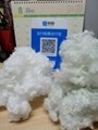 POLYESTER STAPLE FIBER  HOLLOW CONJUGATE SILICONIZED PSF 3