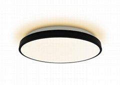 ROUND CEILING LIGHTS INDIRECT LIGHTING DUAL COLOR SELECTED AT-CLR23