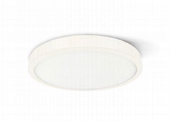 IP40 21mm Thin Ceiling Luminaire Flush Mount Lights AT-CLR24