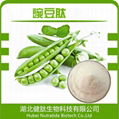 Natural Pisum Sativum Extract Pea Protein Peptide  1