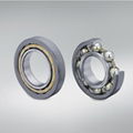 LNG pump low temperature bearings 1