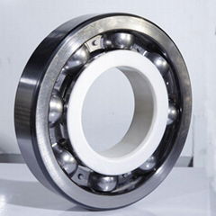 Insulated Bearings