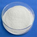 Hydroxypropyl Methyl Cellulose (HPMC)