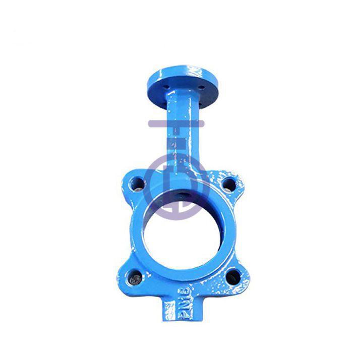 Lug Type Valve Body 2