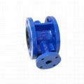 Flange Valve Body 2