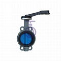 butterfly Valve with Painting CBF02-TA07 1