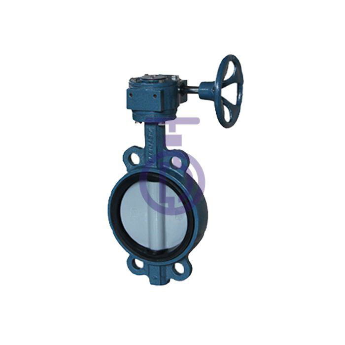 butterfly Valve with Painting CBF02-TA07 3