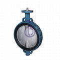 Pneumatic Wafer Butterfly Valve 1