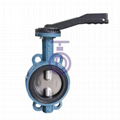 Pneumatic Wafer Butterfly Valve 3