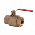 Ball Valve with Threaded Connection 1