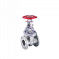 Cast Iron Globe Valve 3