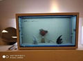 Transparent Display LCD Transparent Screen 2