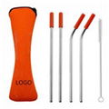 Stainless Steel Drinking Straw with Cleaner in Neoprene Bag