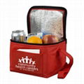 Promotional Non-Woven Cool Tote Bag Promotional Insulated Cooler Bag  1