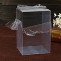 Custom transparent clear PVC PET plastic packaging box  1