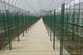 Mushroom mesh metal frame for fungi cultivation 2