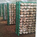 Mushroom mesh metal frame for fungi cultivation 3