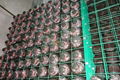 Mushroom mesh metal frame for fungi cultivation 4