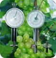 Fruit hardness tester