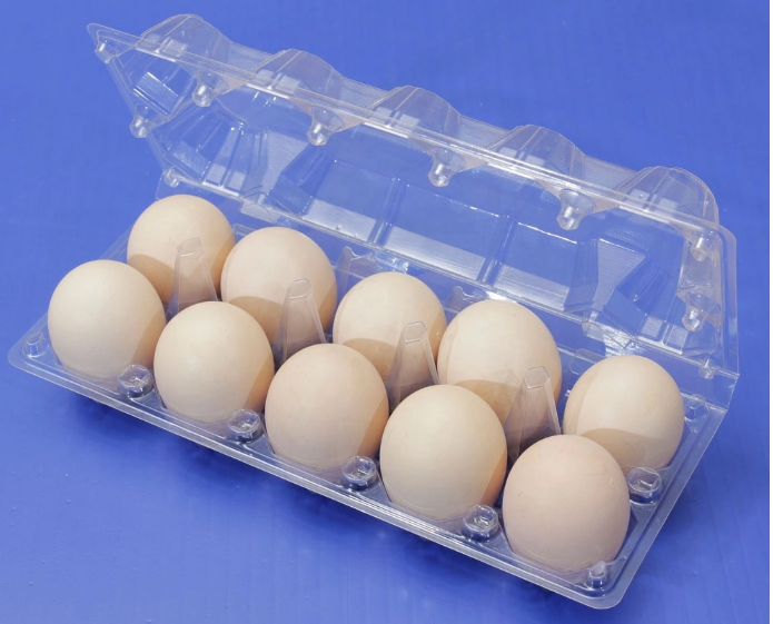 10 Types Disposable China oem folding plastic material and food use plastier egg