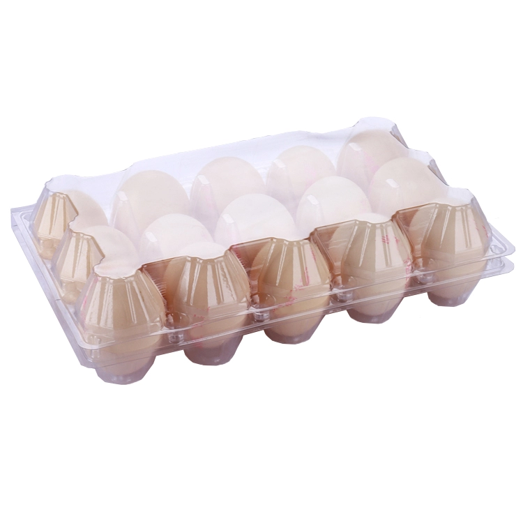 10 Types Disposable China oem folding plastic material and food use plastier egg 2