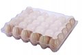10 Types Disposable China oem folding plastic material and food use plastier egg 4