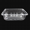 16oz plastic clamshell packaging food Salad Container with Dome Lid  5