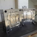 Precision Mould