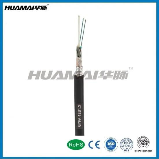 Single Mode Multi Mode Fiber Optic GYFA Cable 2