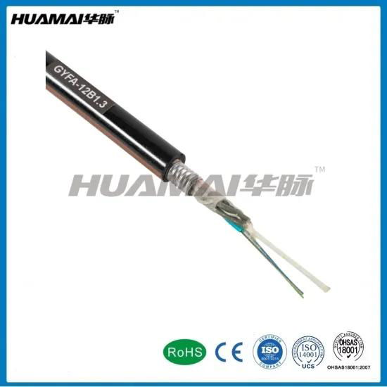 Single Mode Multi Mode Fiber Optic GYFA Cable 3