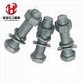 Grade 4.8 Hot Galvanized Hexagonal Head Bolts with Washers 1