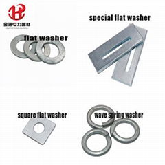 Flat  Wave Spring  Special Washer