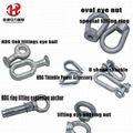 Lifting Ring Expansion Anchor U Shackles