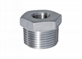 HEXAGON BUSHING  Stainless Steel Hexagon Bushing   Threaded Fitting