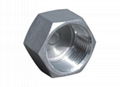 HEXAGON HEAD CAP  Stainless Steel Hexagon Plug wholesale 1