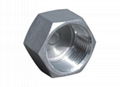 HEXAGON HEAD CAP  Stainless Steel