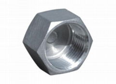 HEXAGON HEAD CAP  Stainless Steel Hexagon Plug wholesale