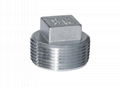 SQUARE PLUG  Threaded Fitting   Stainless Steel Square Plug China 1
