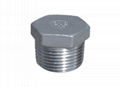 HEX PLUG  Threaded Fitting  Stainless