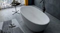 Freestanding Bathtub 1