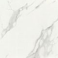 CARRARA White Marble Tile