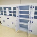 實驗室pp藥品櫃器皿櫃防酸碱耐腐蝕藥品櫃器皿櫃 2