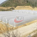 Agricultural Single Span Plastic Film Greenhouse 1